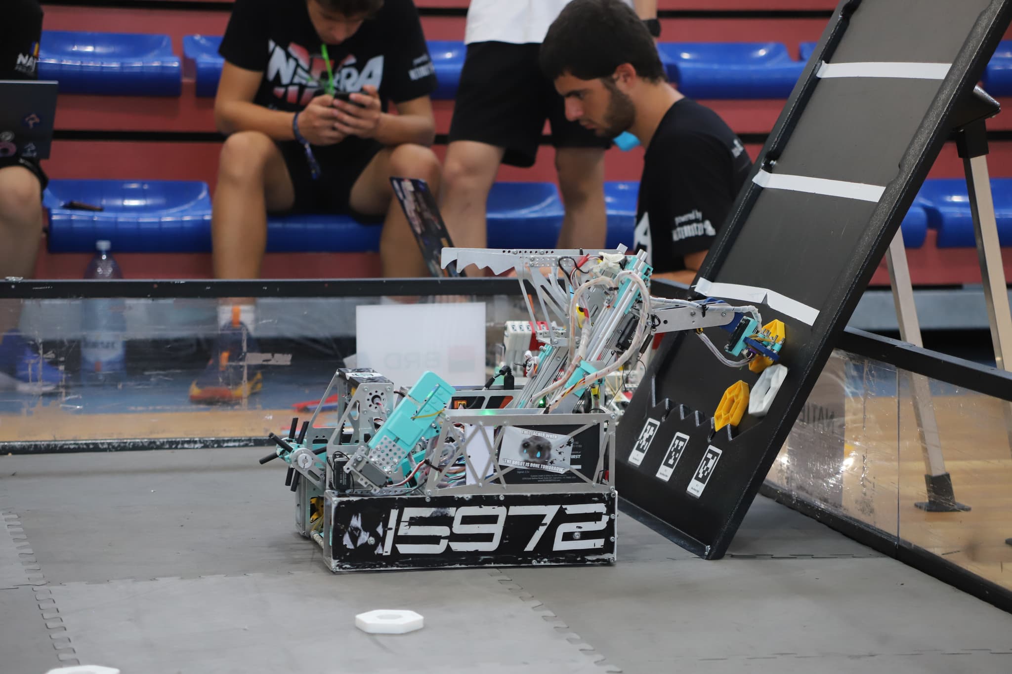 Picture of the author