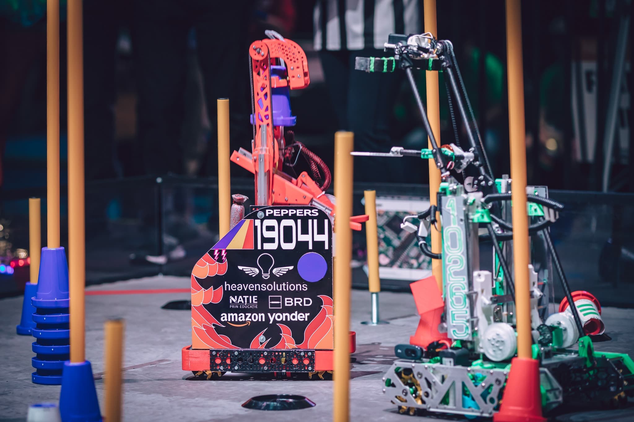 Picture of the author