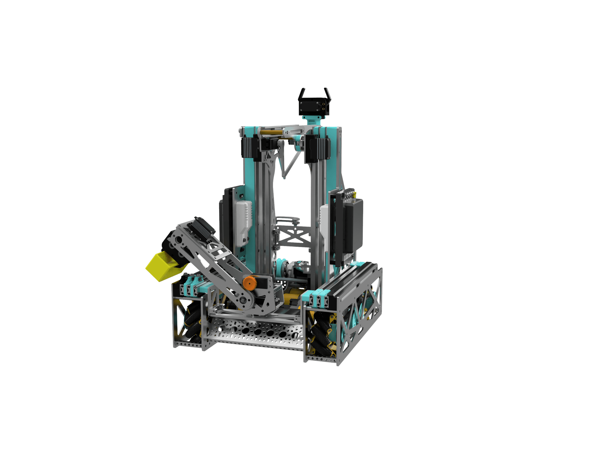 Picture of the author